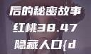 揭秘红桃背后的隐藏人口，探寻数字背后的秘密故事红桃38.47隐藏人口{dc"MIYU02"