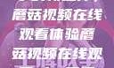 观看NBA赛事的新选择，蘑菇视频在线观看体验蘑菇视频在线观看nba直播免费