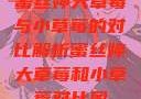 蜜丝婷大草莓与小草莓的对比解析蜜丝婷大草莓和小草莓对比图