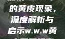 探索w.w.w下的黄皮现象，深度解析与启示w.w.w黄皮磨菇招商