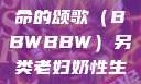 另类视角下的老妇奶性与生命的颂歌（BBWBBW）另类老妇奶性生BBwBBw肥婆BBX