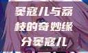 窦寇儿与荔枝的奇妙缘分窦寇儿