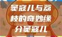 窦寇儿与荔枝的奇妙缘分窦寇儿
