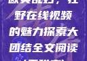 欧美乱妇，狂野在线视频的魅力探索大团结全文阅读(无弹窗)