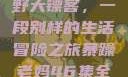 暴躁老妈与荒野大镖客，一段别样的生活冒险之旅暴躁老妈46集全免费观看
