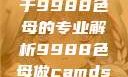 制作CAMDS成分表，关于9988色母的专业解析9988色母做camds成分表最新消息