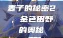 麦子的秘密2，金色田野的奥秘