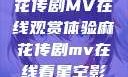 星空下的麻花传剧MV在线观赏体验麻花传剧mv在线看星空影视评价