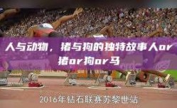 人与动物，猪与狗的独特故事人or猪or狗or马