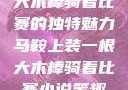 马鞍上装一根大木棒骑着比赛的独特魅力马鞍上装一根大木棒骑着比赛小说笔趣阁