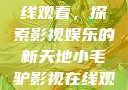 小毛驴影视在线观看，探索影视娱乐的新天地小毛驴影视在线观看6996集