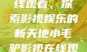 小毛驴影视在线观看，探索影视娱乐的新天地小毛驴影视在线观看6996集