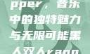 黑人双人rapper，音乐中的独特魅力与无限可能黑人双人rapper的特点