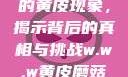 探索w.w.w下的黄皮现象，揭示背后的真相与挑战w.w.w黄皮磨菇招商