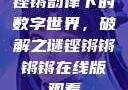 铿锵韵律下的数字世界，破解之谜铿锵锵锵锵在线版观看