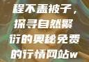 二人生猴子全程不盖被子，探寻自然繁衍的奥秘免费的行情网站www下载大全