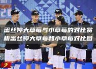 蜜丝婷大草莓与小草莓的对比赏析蜜丝婷大草莓和小草莓对比图