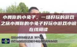 小舞你的小兔子，一场好玩的游戏之旅小舞你的小兔子好玩小游戏小说在线阅读