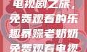 暴躁老奶奶的电视剧之旅，免费观看的乐趣暴躁老奶奶免费观看电视剧完整版