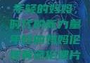 年轻的妈妈，时代的新力量年轻的妈妈伦理黄色伦理片