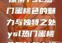 探索YSL热门蜜桃色的魅力与独特之处ysl热门蜜桃色唇釉怎么样