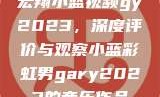 宏翔小蓝视频gy2023，深度评价与观察小蓝彩虹男gary2023的音乐作品