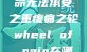 疼痛之轮，生命无法承受之重疼痛之轮wheel of pain在哪里