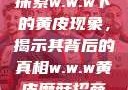 探索w.w.w下的黄皮现象，揭示其背后的真相w.w.w黄皮磨菇招商