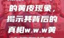 探索w.w.w下的黄皮现象，揭示其背后的真相w.w.w黄皮磨菇招商