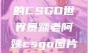 暴躁老阿姨的CSGO世界暴躁老阿姨csgo图片高清在线观看