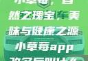 小草莓，自然之瑰宝，美味与健康之源小草莓app改名后叫什么