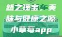 小草莓，自然之瑰宝，美味与健康之源小草莓app改名后叫什么