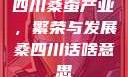 四川桑蚕产业，繁荣与发展桑四川话啥意思