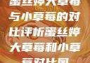 蜜丝婷大草莓与小草莓的对比评析蜜丝婷大草莓和小草莓对比图