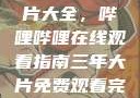 免费观看三年片大全，哔哩哔哩在线观看指南三年大片免费观看完整版高清