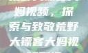 荒野大镖客大妈视频，探索与致敬荒野大镖客大妈视频剧情