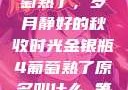 金银瓶下的葡萄熟了，岁月静好的秋收时光金银瓶4葡萄熟了原名叫什么_第01集
