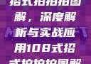 揭秘108式招式拍拍拍图解，深度解析与实战应用108式招式拍拍拍图解动图