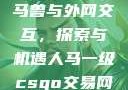 Python人马兽与外网交互，探索与机遇人马一级csgo交易网站