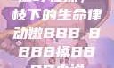 嫩叶轻搡，槡枝下的生命律动嫩BBB槡BBBB搡BBBB小说