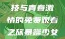 暴躁少女CSGO，热血竞技与青春激情的免费观看之旅暴躁少女csgo免费观看中文版