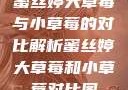 蜜丝婷大草莓与小草莓的对比解析蜜丝婷大草莓和小草莓对比图