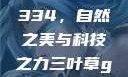三叶草GW4334，自然之美与科技之力三叶草gw4334官网