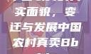中国农村的真实面貌，变迁与发展中国农村真卖Bbwbbw