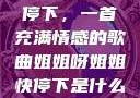 姐姐呀姐姐快停下，一首充满情感的歌曲姐姐呀姐姐快停下是什么歌曲小说
