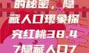 揭秘红桃背后的秘密，隐藏人口现象探究红桃38.47隐藏人口7004658