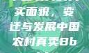 中国农村的真实面貌，变迁与发展中国农村真卖Bbwbbw