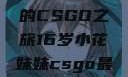 电竞新星，16岁小花妹妹的CSGO之旅16岁小花妹妹csgo最新版本更新内容