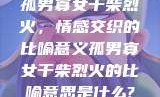 孤男寡女干柴烈火，情感交织的比喻意义孤男寡女干柴烈火的比喻意思是什么?