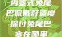 内塞式兔尾巴佩戴舒适度探讨兔尾巴塞在哪里